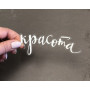Ацетатні висічені слова з фольгуванням від Scrapmir (White) 12шт 